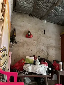 Pertunjukan Kamera Web dudubaobao