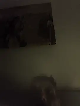 Вебкам-шоу wolfihot33