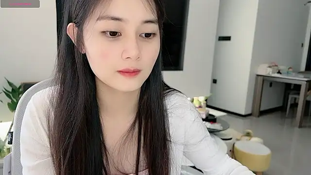 Judy-520n Webbikameraesitys