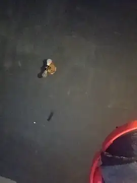 givr6inches webkamerás műsora