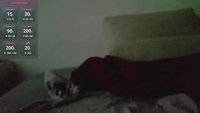 canarito18 webcam show