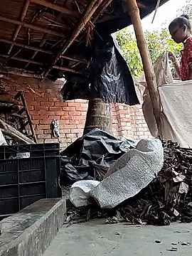 Sweet-runi Chat XXX in diretta