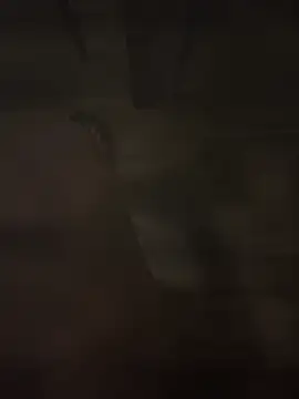 sharks90 Webcam-Show