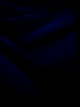 BustedCall 现场XXX聊天