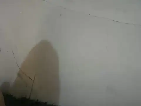 Show de webcam de s1nfulbarbie