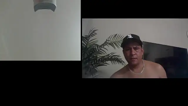 Pokazy przed kamerką – Mifavorito2024