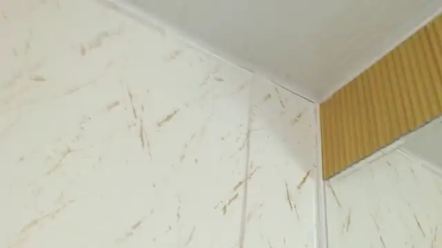 ArielleWilde's Live XXX Chat