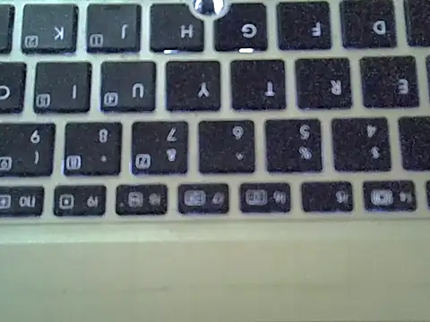 Delicious-D's Webcam Show