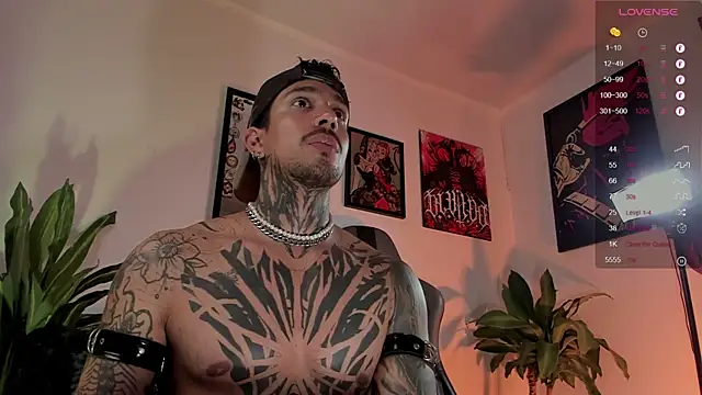 TigerStripes1_ élő XXX-chatje