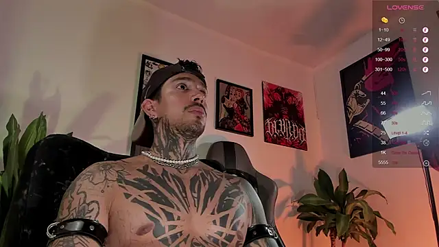 TigerStripes1_ webcam show