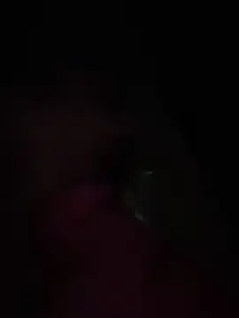 แชท XXX สดของ Danielavegax