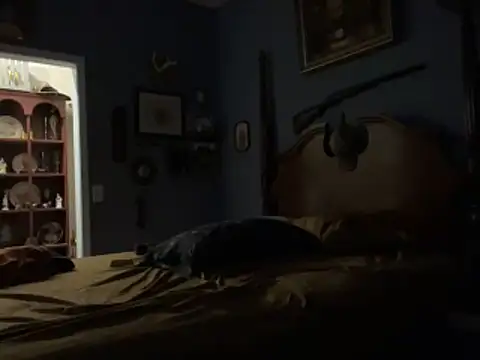 Show webcam de Countrypnp13