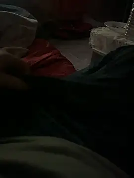 Alexalbertn Webbikameraesitys