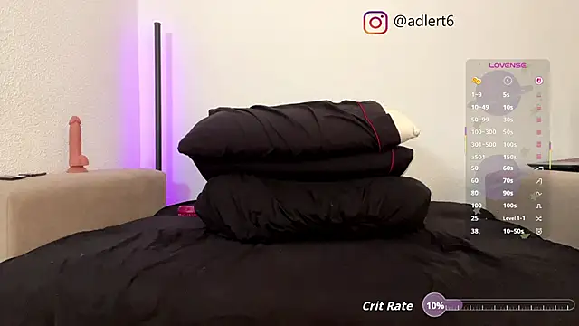 Show webcam de adler80035