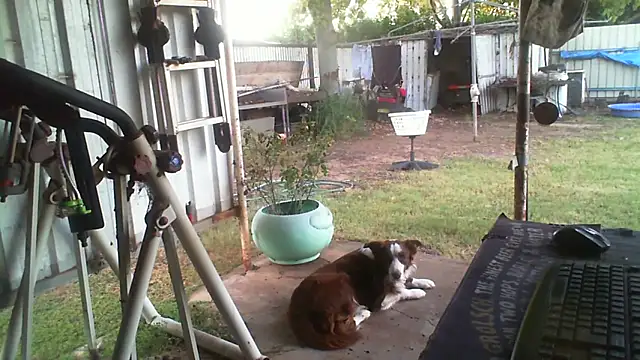 herbie010666 webcam show