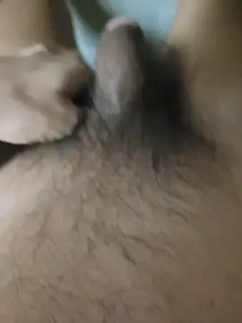 Show Webcam de catluvr999