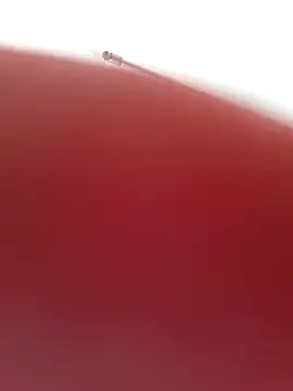 عرض كام Xladycharme