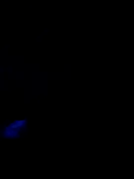 A33destroyer2 웹캠 쇼