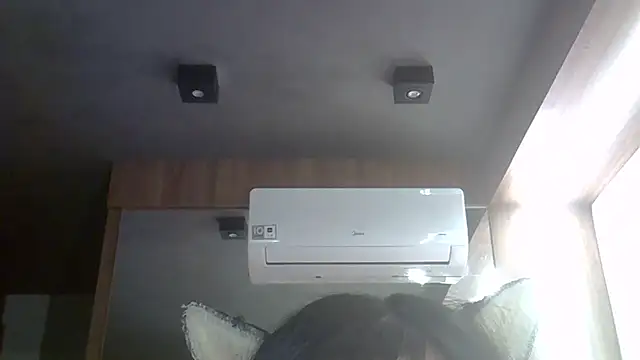 SkinnyKitten Chat XXX live