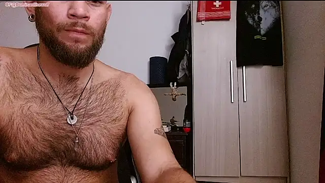 DominanThewolff Show Webcam