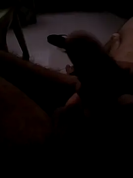 Show de webcam de z1ervo