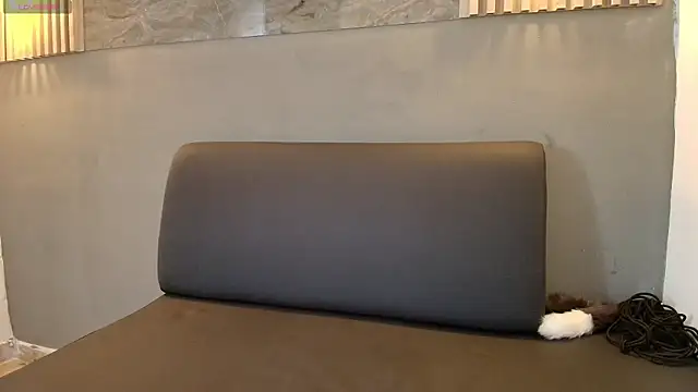 KENNY_HANK Show in webcam