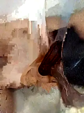 dream32222's Webcam Show