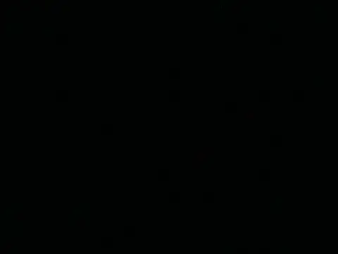 Show de Tigerhill2023 na webcam