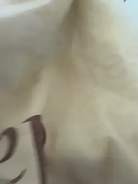 twankletoes1234 webcam show