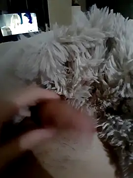 Show webcam de lhad53891