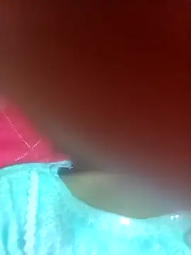 Show Webcam de desicoupleNoon