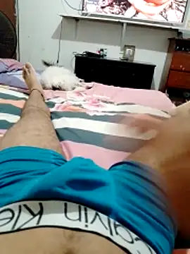 toxico_27 Webcam show