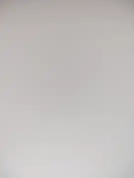 Show webcam de TheDime