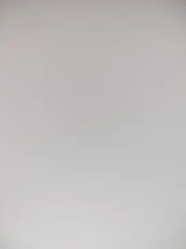 TheDime 라이브 XXX 채팅