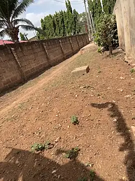 Black-mamba-madingo – webcam-show