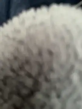 Errie1327 라이브 XXX 채팅