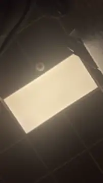 queenkelly1234's Webcam Show