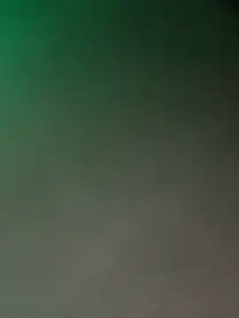 ChicagoMadeThirdLegn Webbikameraesitys