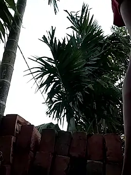 Show Webcam de Sweet-runi