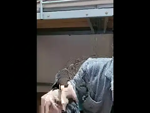 mgnhiroyuki – Kamerová šou