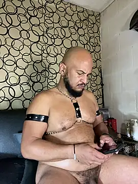 Вебкам-шоу the_master_foal_