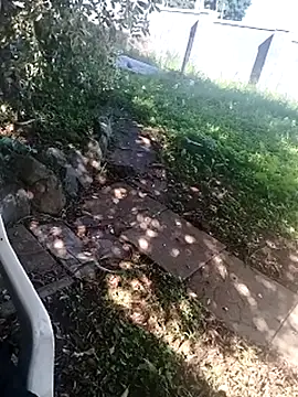 hemilynthomas2467 现场XXX聊天