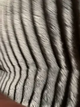 CraZiCpL: διαδικτυακό σόου στην κάμερα