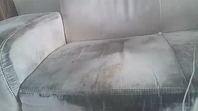 CORONALD Show in webcam