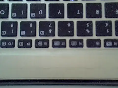 Show Webcam de Delicious-D