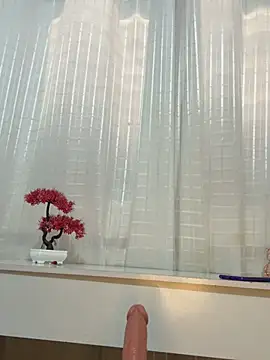 Nicollebr – Live XXX-chat