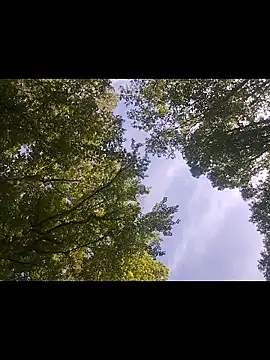 Biknight ওয়েবক্যাম শো