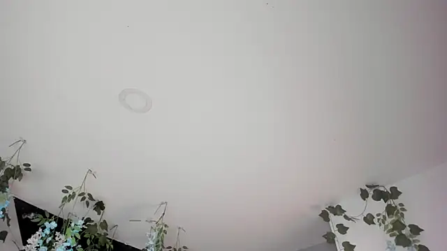 alixon_fiore5 – Naživo XXX chat