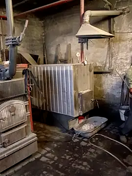 _uncle_Mitya-43_n Webbikameraesitys