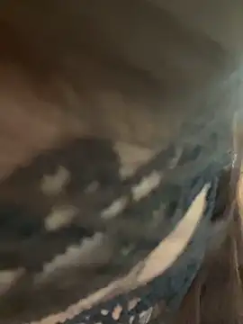 mangguo2026 Show Webcam